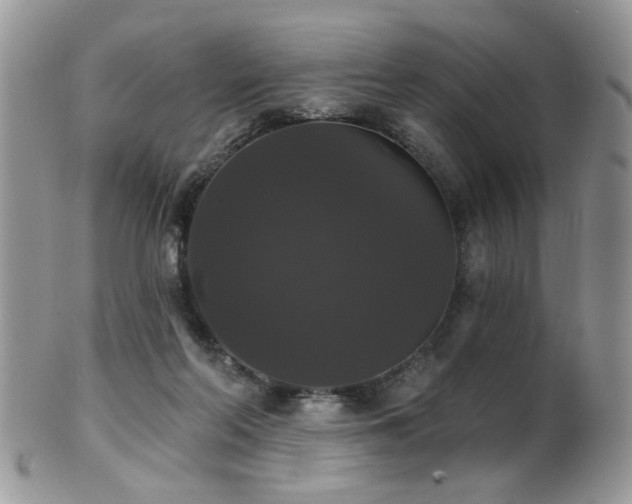 X0000102240214200807251307