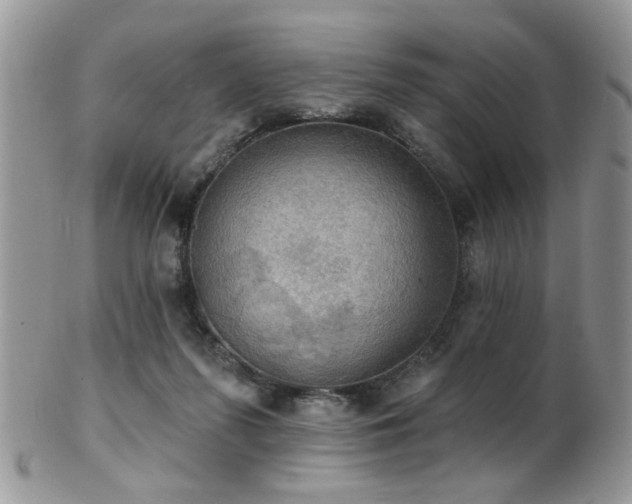 X0000102240215200807251307