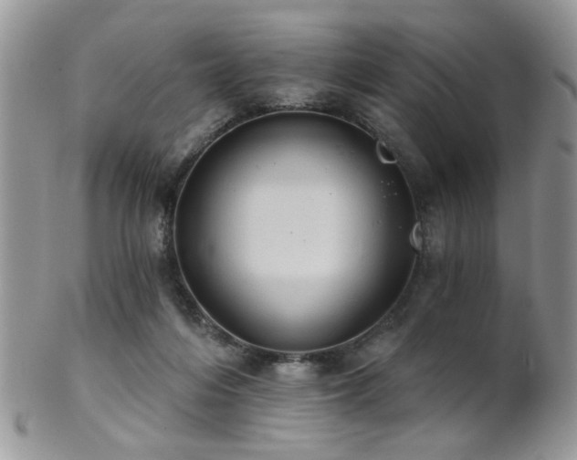 X0000102240216200807251307