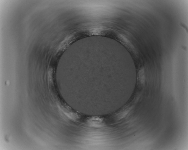 X0000102240217200807251307