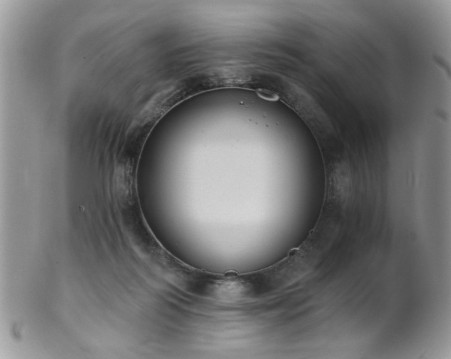 X0000102240218200807251307