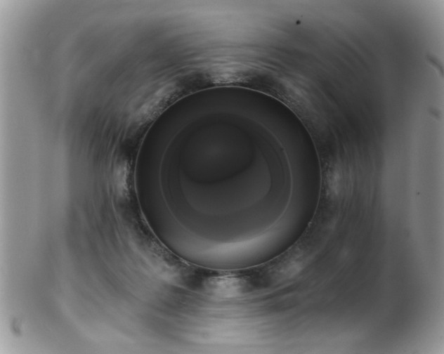 X0000102240219200807251307