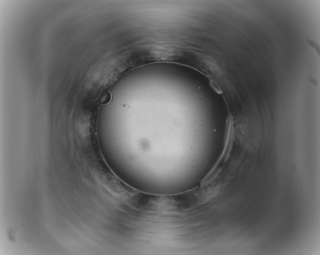 X0000102240221200807251307