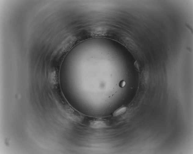 X0000102240224200807251307