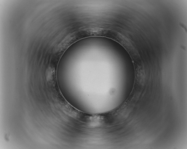 X0000102240225200807251307