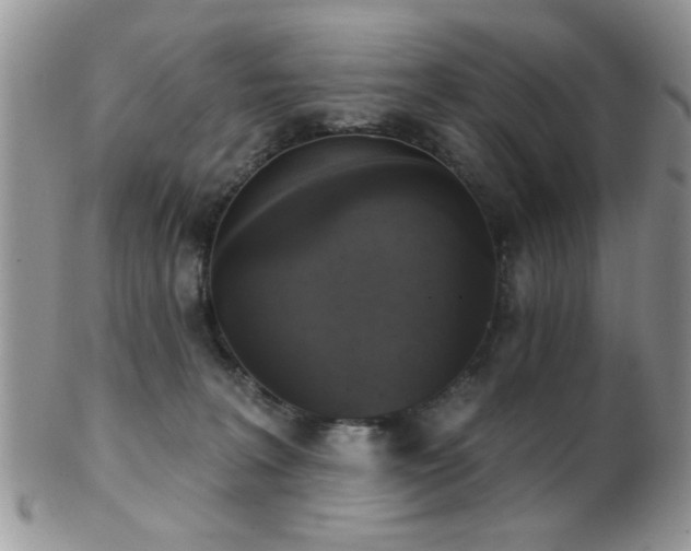 X0000102240227200807251307