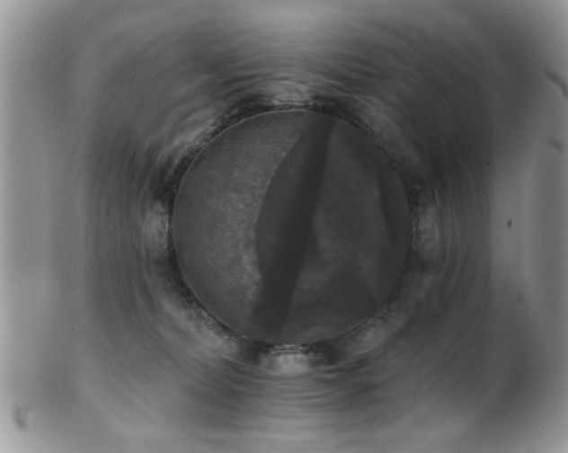 X0000102240228200807251307