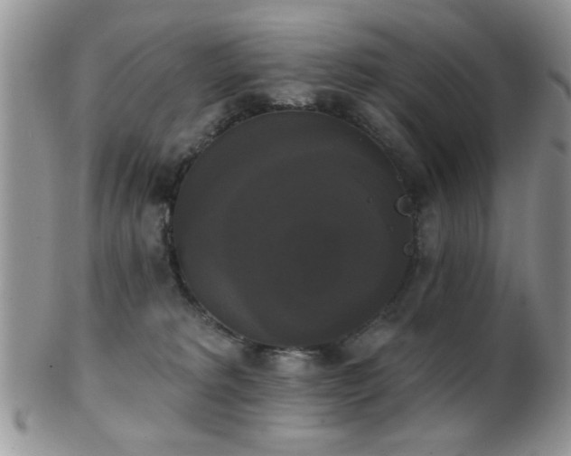 X0000102240229200807251307