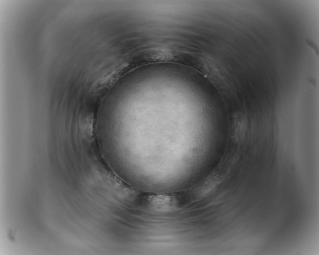 X0000102240230200807251307