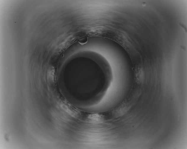 X0000102240231200807251307