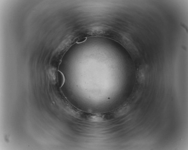 X0000102240232200807251307