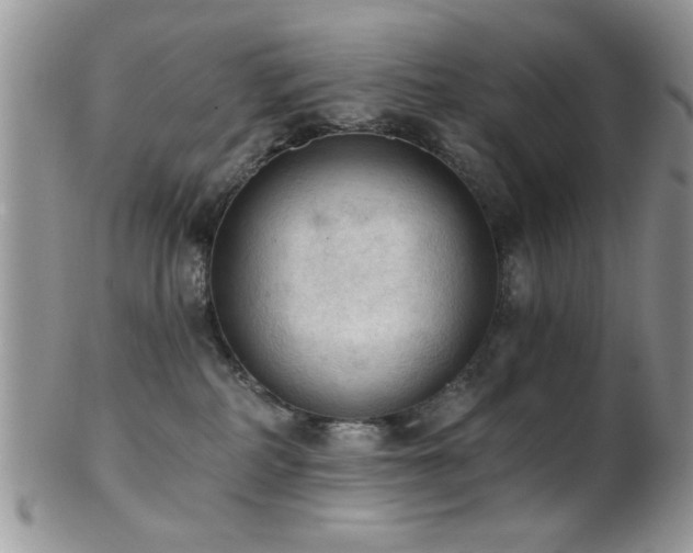 X0000102240234200807251307