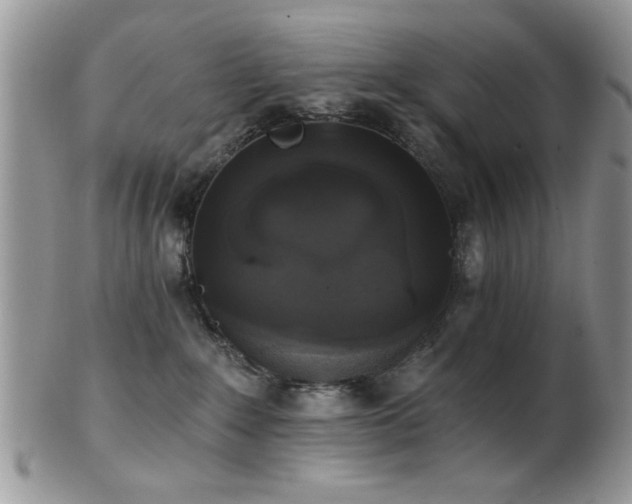 X0000102240235200807251307