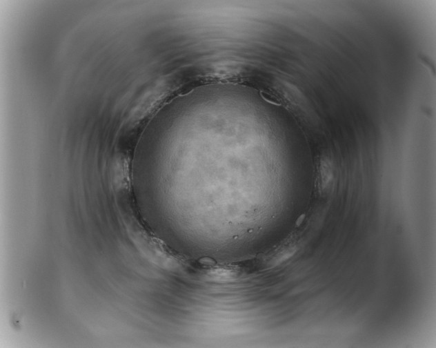 X0000102240236200807251306