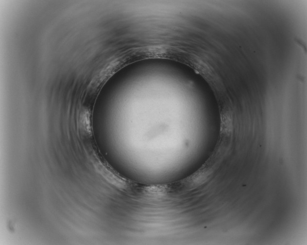 X0000102240238200807251306