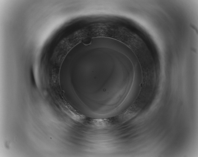 X0000102240239200807251306