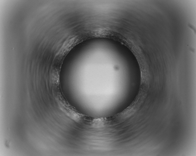 X0000102240240200807251306