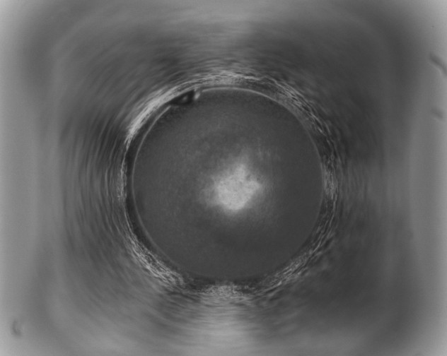 X0000102240244200807251306