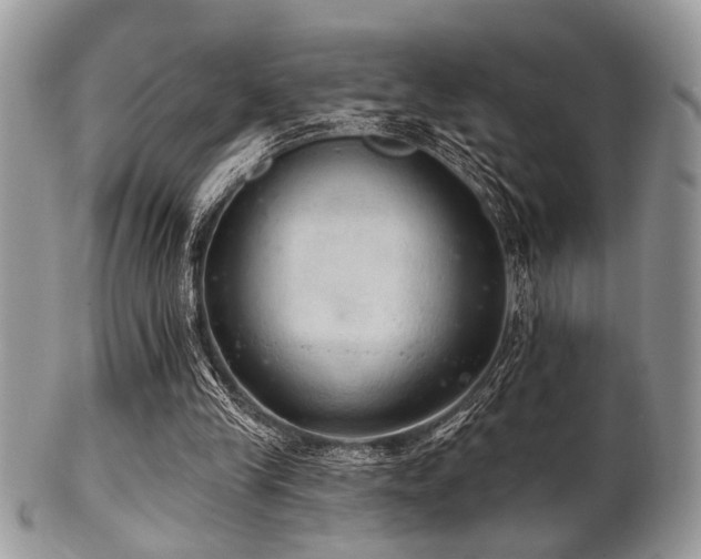 X0000102240245200807251306