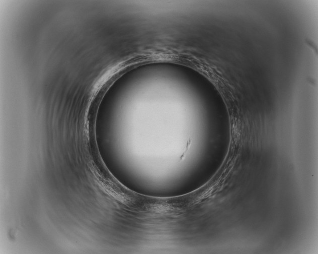 X0000102240246200807251306