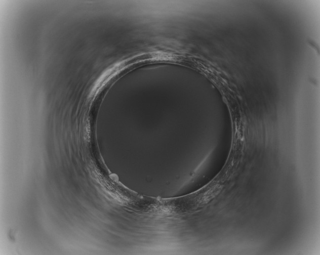 X0000102240247200807251306