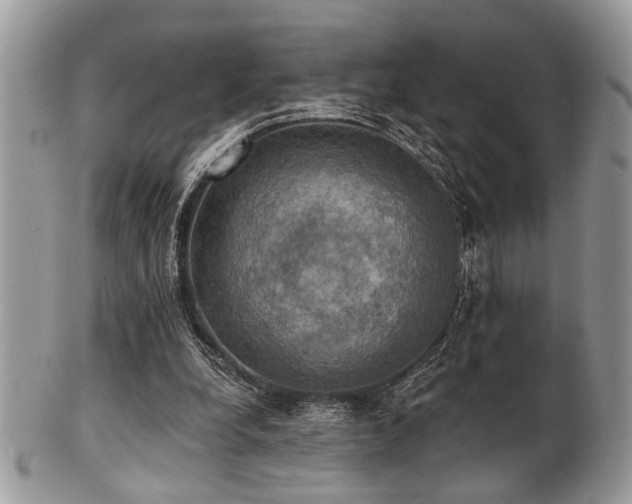 X0000102240248200807251306