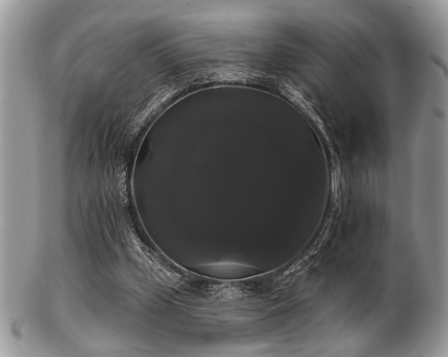 X0000102240249200807251306