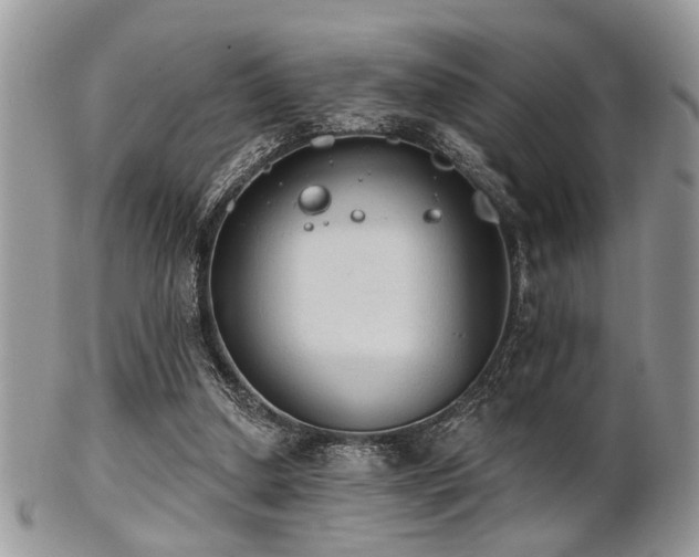 X0000102240250200807251306