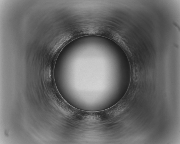 X0000102240251200807251306