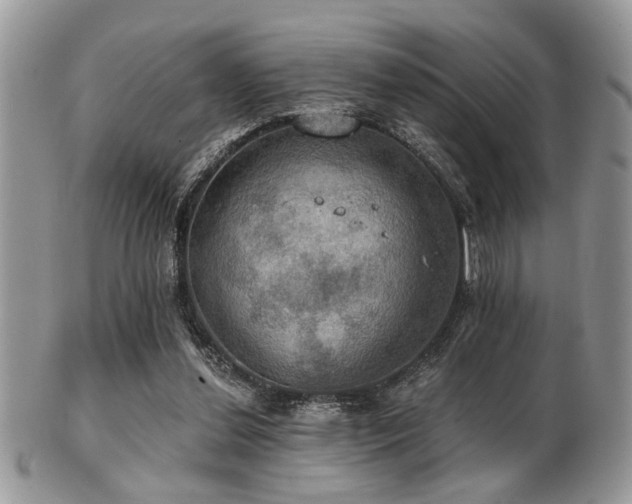 X0000102240252200807251306