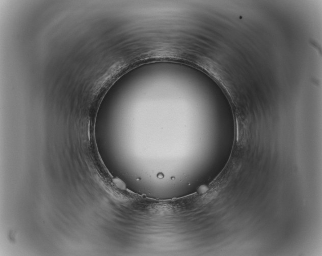 X0000102240253200807251306