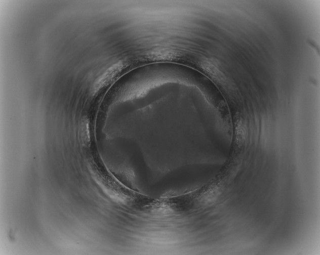 X0000102240254200807251306