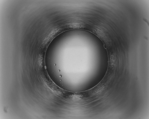 X0000102240255200807251306