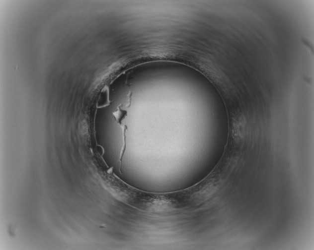 X0000102240256200807251306