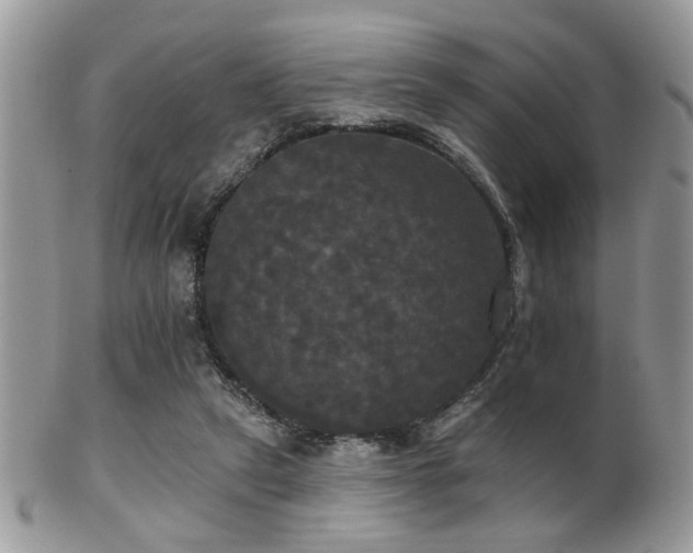 X0000102240257200807251306