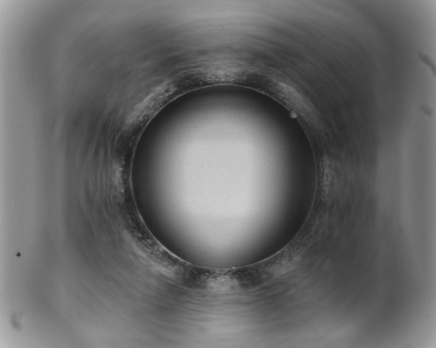 X0000102240258200807251306