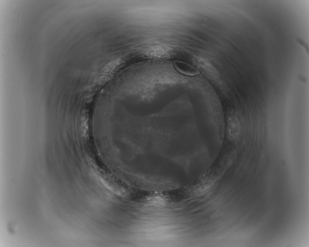 X0000102240259200807251306