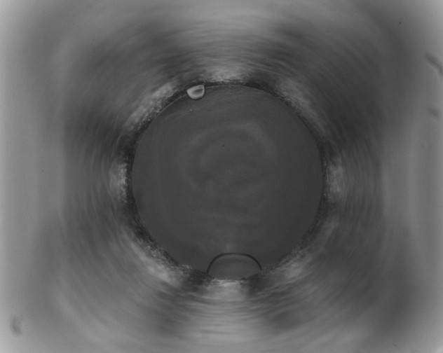 X0000102240260200807251306