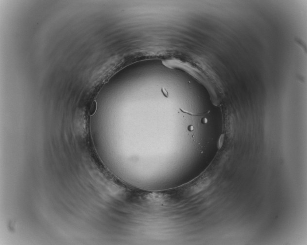 X0000102240261200807251306