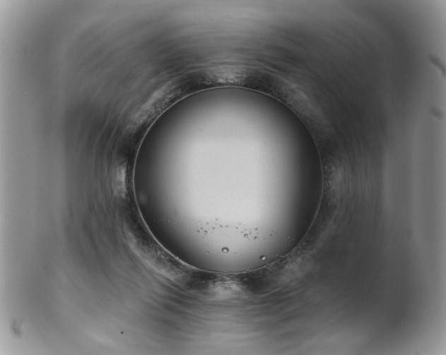 X0000102240262200807251306