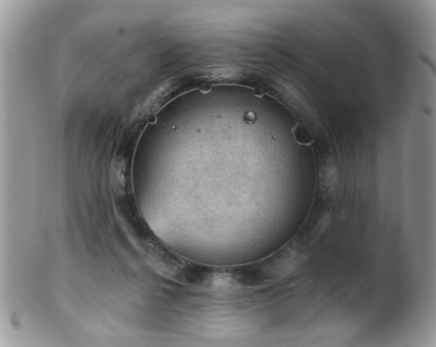 X0000102240264200807251306