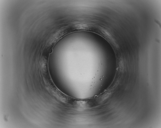 X0000102240265200807251306