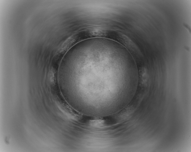 X0000102240266200807251306