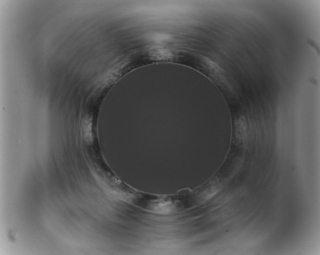 X0000102240267200807251306