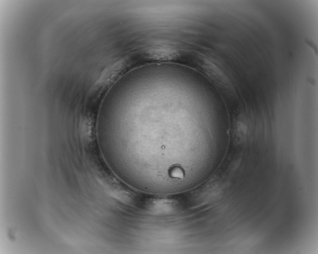 X0000102240268200807251306