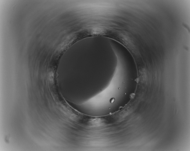 X0000102240269200807251306