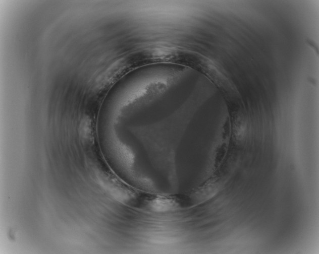 X0000102240270200807251306