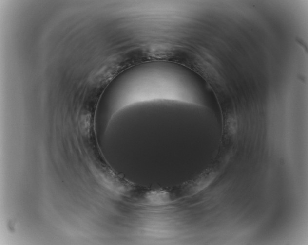 X0000102240271200807251306