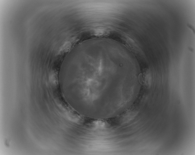 X0000102240272200807251306