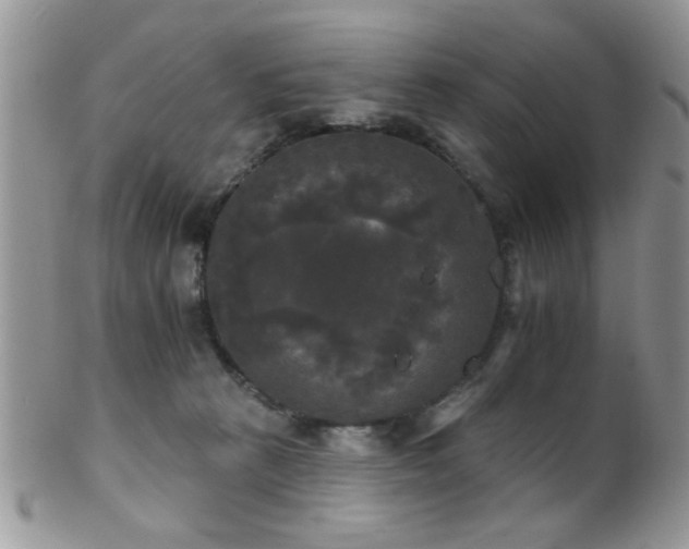 X0000102240273200807251306